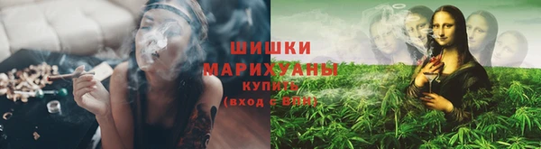 трава Инта