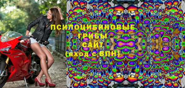 эйфоретик Алзамай