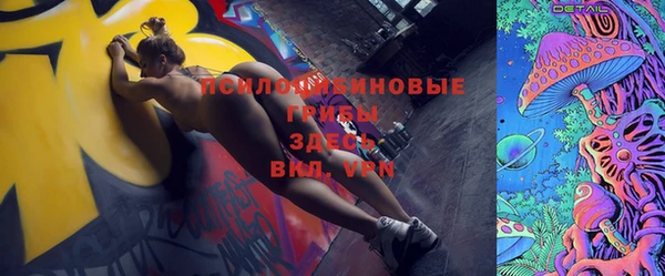 эйфоретик Алзамай