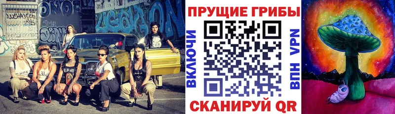 сколько стоит  Орлов  Псилоцибиновые грибы GOLDEN TEACHER 